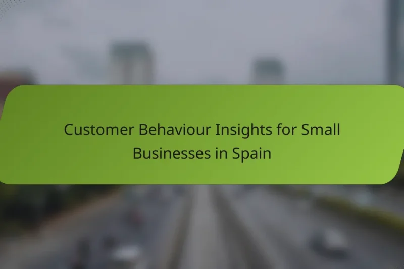 Customer Behaviour Insights for Small Businesses in Spain