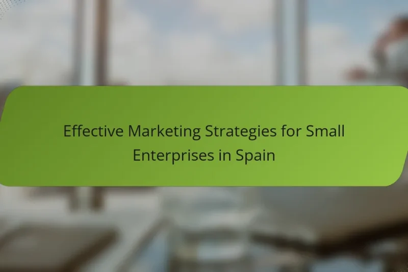 Effective Marketing Strategies for Small Enterprises in Spain