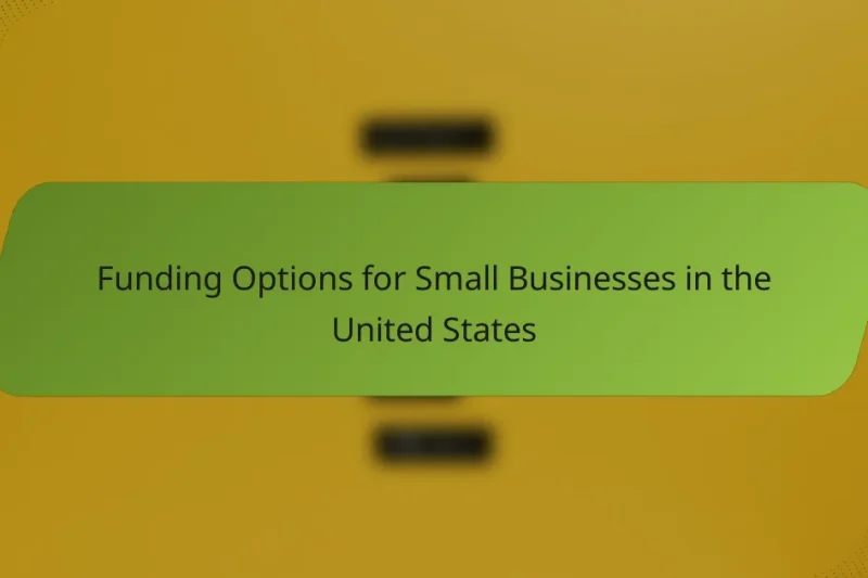 Funding Options for Small Businesses in the United States