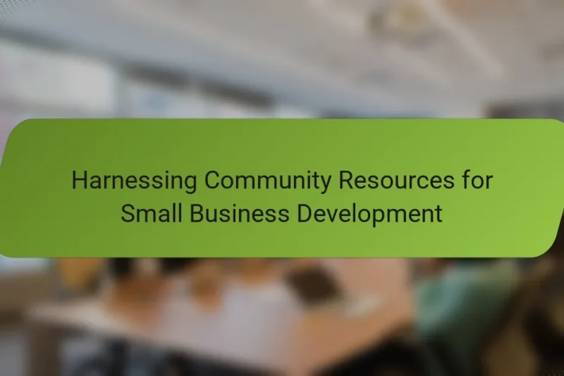 Harnessing Community Resources for Small Business Development