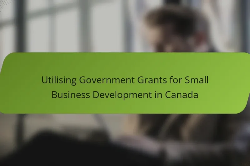 Utilising Government Grants for Small Business Development in Canada