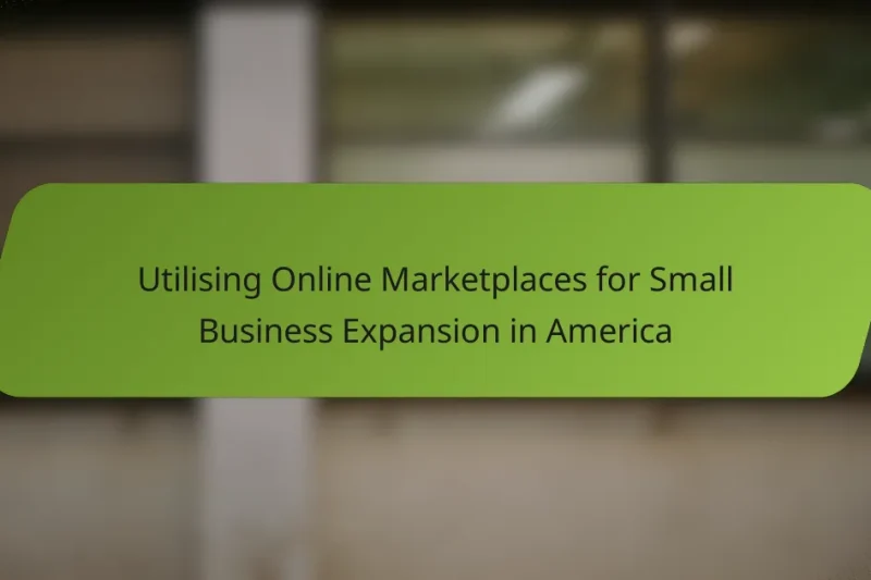 Utilising Online Marketplaces for Small Business Expansion in America