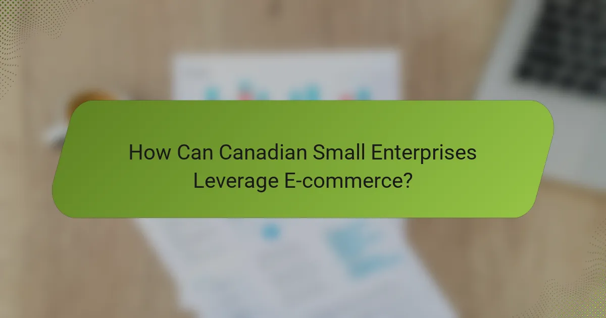 How Can Canadian Small Enterprises Leverage E-commerce?