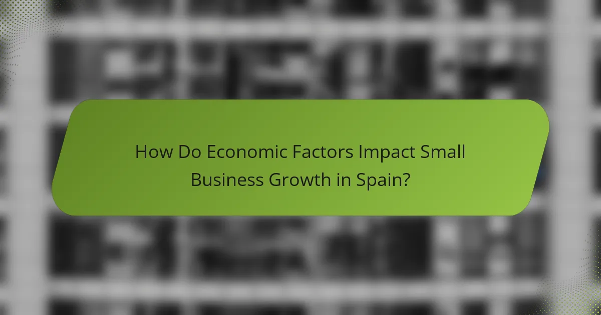 How Do Economic Factors Impact Small Business Growth in Spain?
