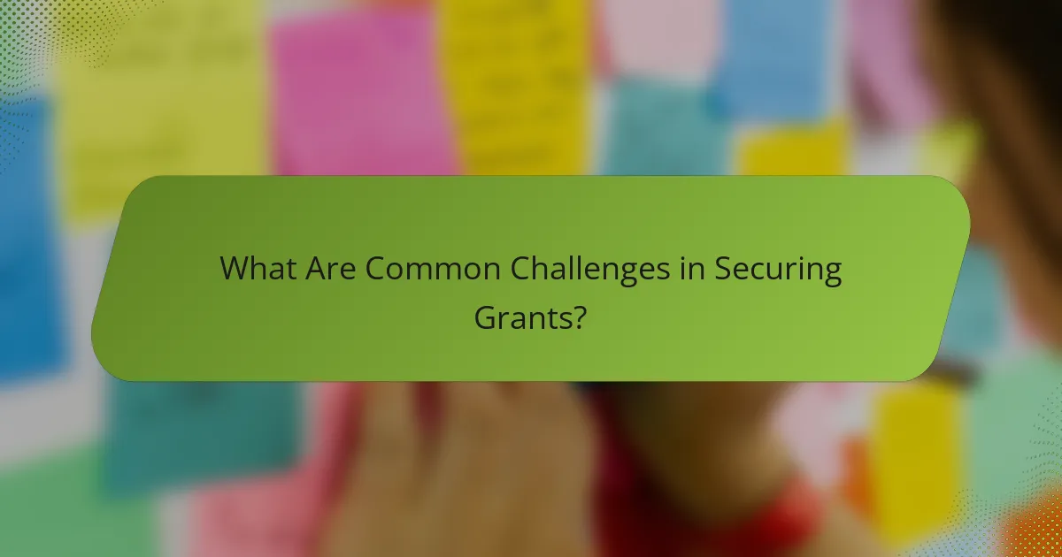 What Are Common Challenges in Securing Grants?