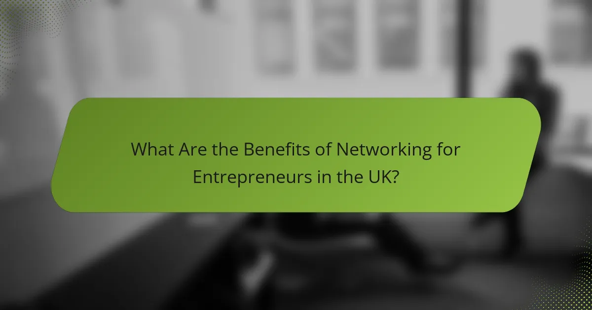 What Are the Benefits of Networking for Entrepreneurs in the UK?