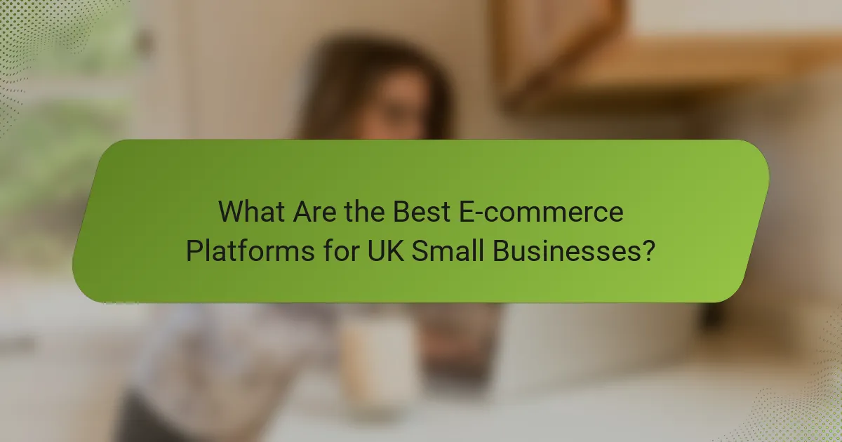 What Are the Best E-commerce Platforms for UK Small Businesses?