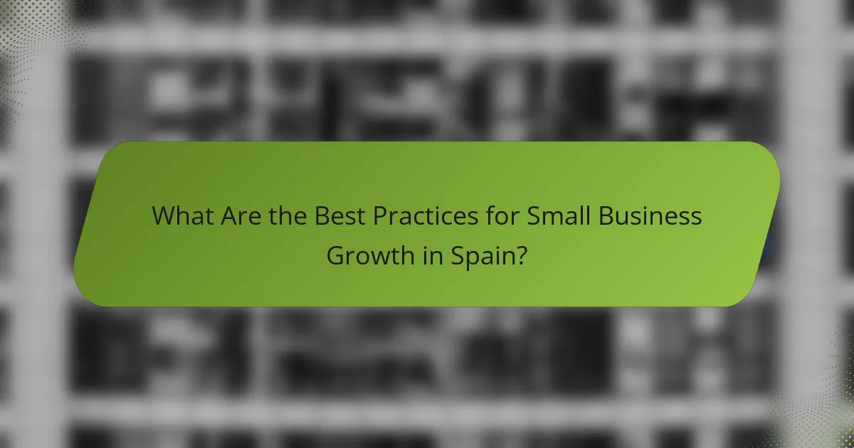 What Are the Best Practices for Small Business Growth in Spain?
