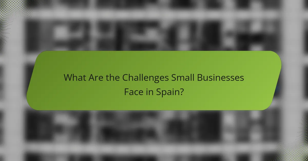 What Are the Challenges Small Businesses Face in Spain?