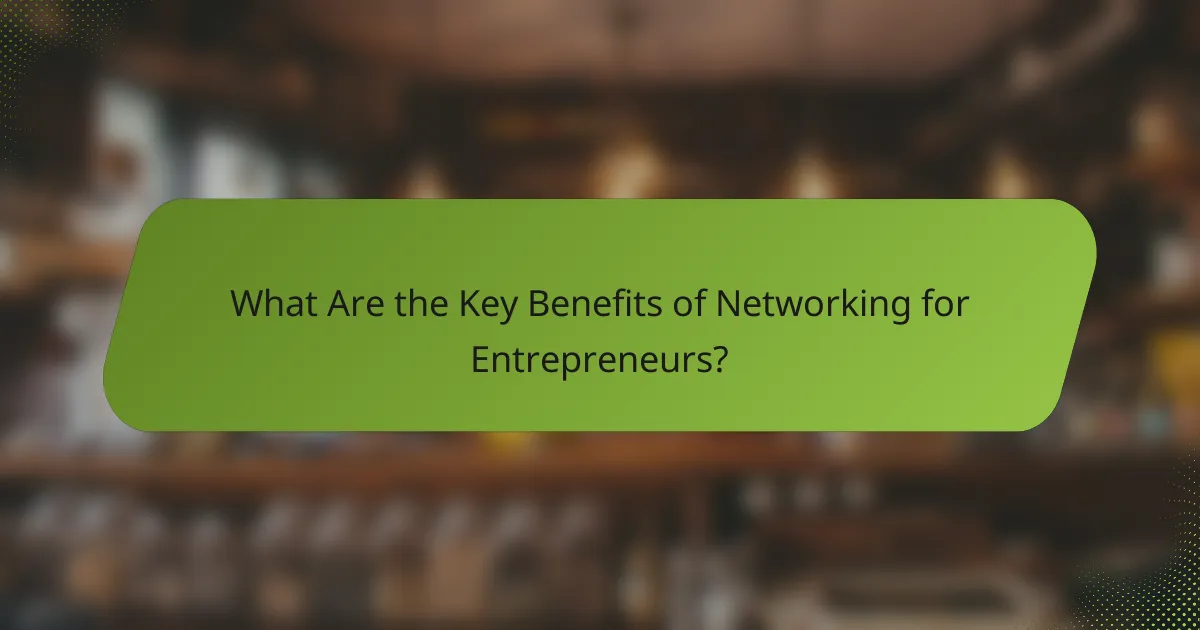 What Are the Key Benefits of Networking for Entrepreneurs?