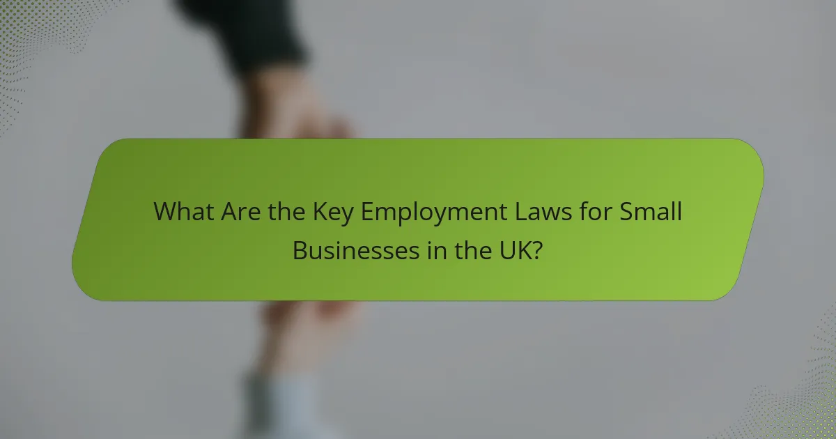 What Are the Key Employment Laws for Small Businesses in the UK?
