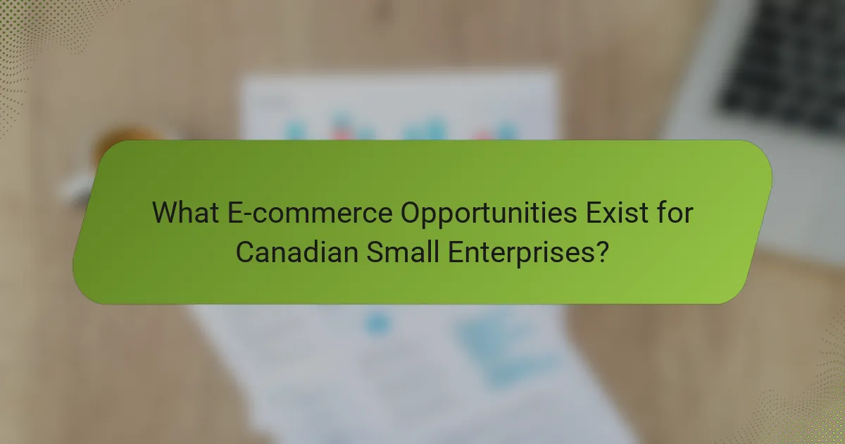 What E-commerce Opportunities Exist for Canadian Small Enterprises?