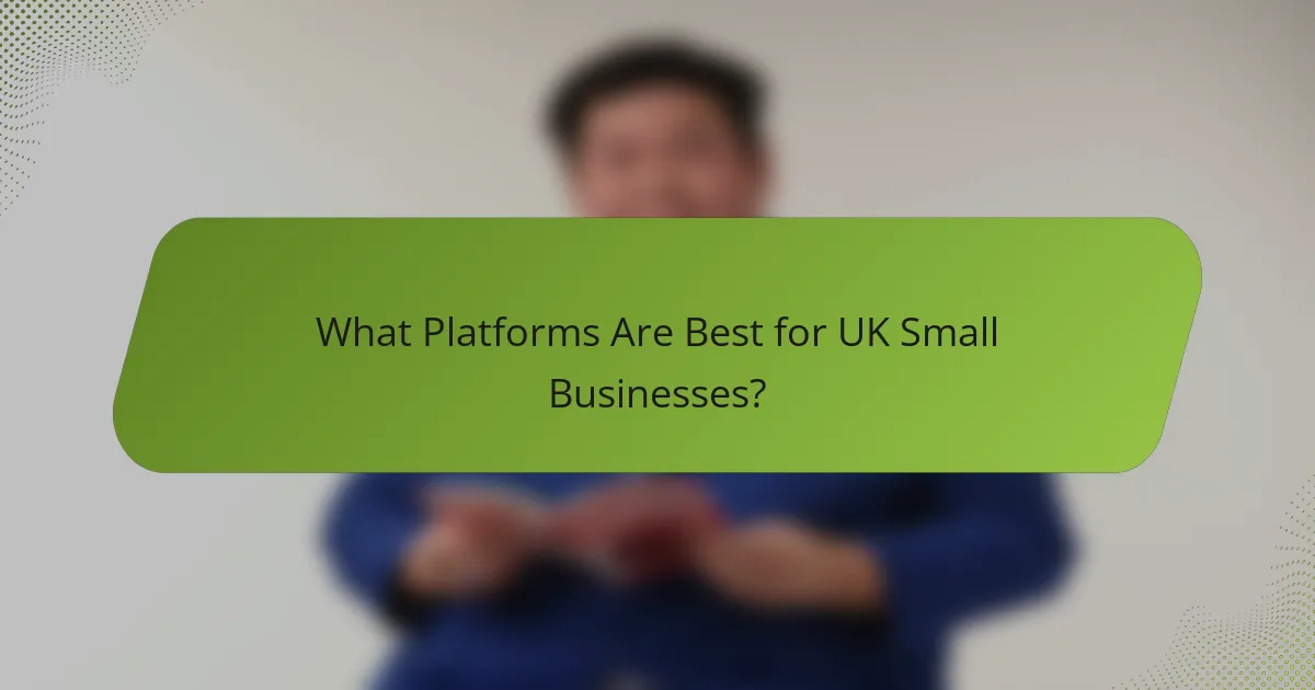What Platforms Are Best for UK Small Businesses?