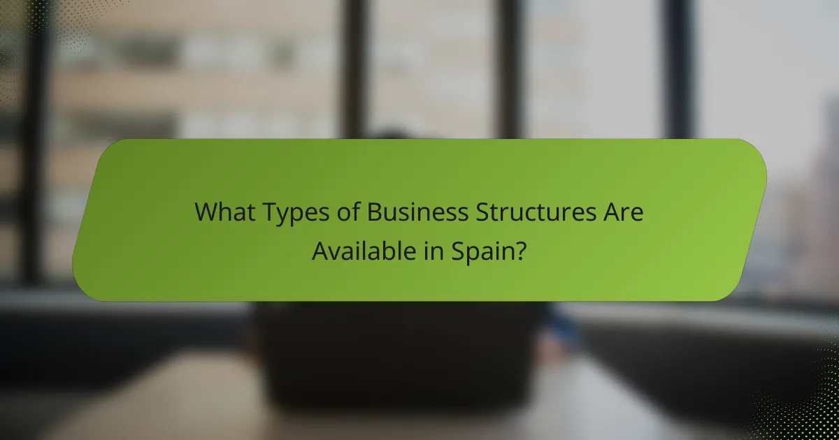 What Types of Business Structures Are Available in Spain?