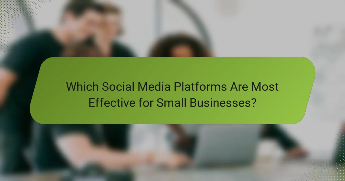 Which Social Media Platforms Are Most Effective for Small Businesses?